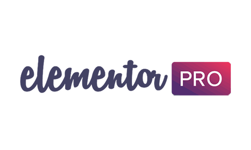 WordPress website with Elementor Pro