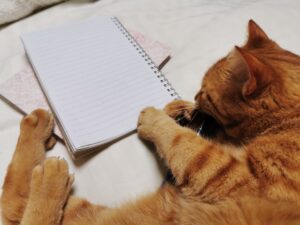 goal setting and journaling