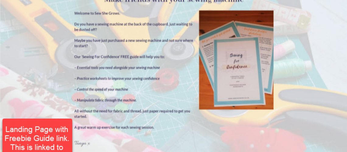 LANDING-PAGE-LEAD_MAGNET