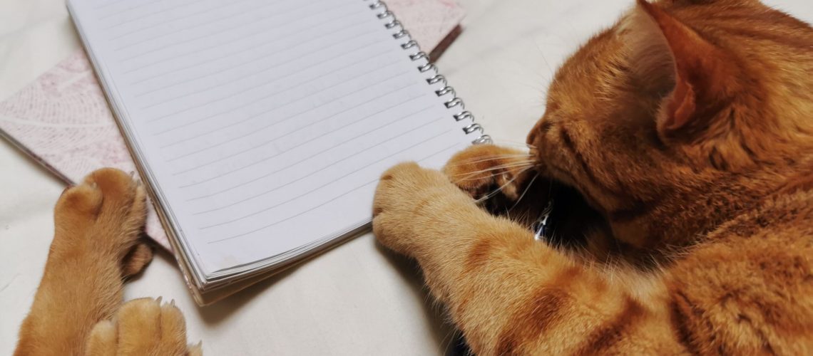 goal setting and journaling